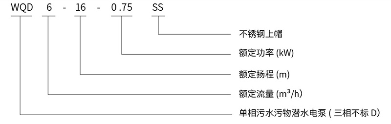 11111_03.jpg